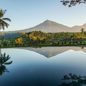 Ijen Resort And Villas - The Hidden Paradise